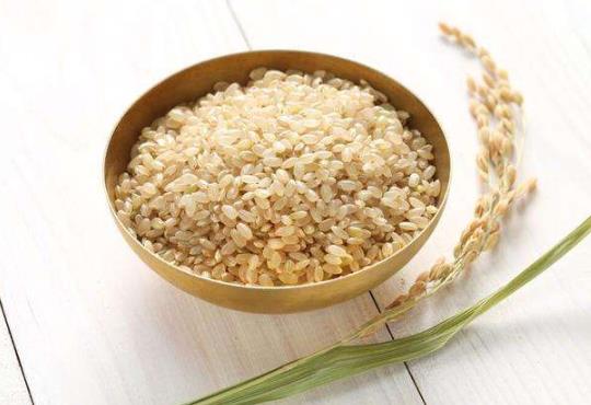 吃糙米飯真的可以減肥嗎?糙米飯食用注意事項