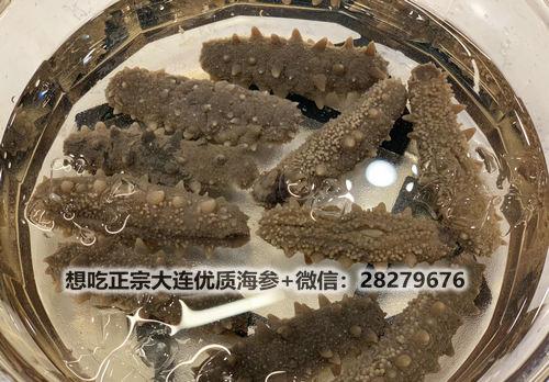 海參的泡發(fā)方法竟如此簡單!細(xì)數(shù)干海參泡發(fā)的正確方法 src=http___i5.chuimg.com_02247e5bad874aea89fc2f65d070b915_4032w_3024h.jpg&refer=http___i5.chuimg.jpg