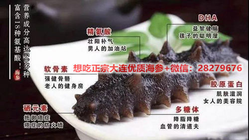 海參的營養(yǎng)價值高嗎,海參是補什么的?細數(shù)海參好處! src=http___www.suoyanzi.com_wp-content_uploads_2021_02_1614050501105_1.jpeg&refer=http___www.suoyanzi.jpg