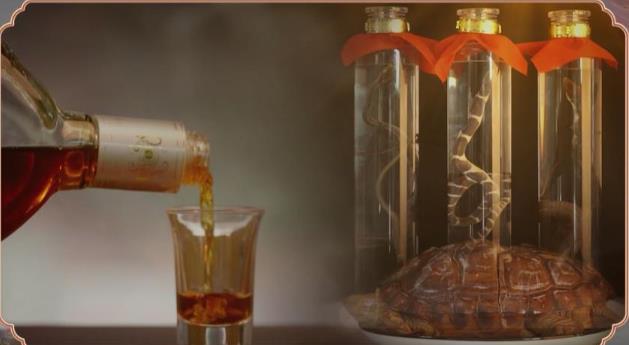 龜蛇酒并不適合所有人喝,看了你就明白了
