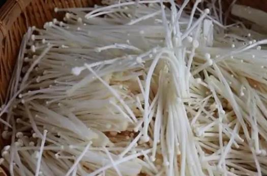 長(zhǎng)蕁麻疹可以吃金針菇嗎?金針菇為什么有股酸味?