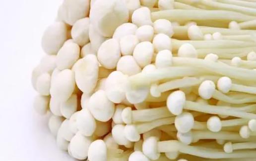 長(zhǎng)蕁麻疹可以吃金針菇嗎?金針菇為什么有股酸味?
