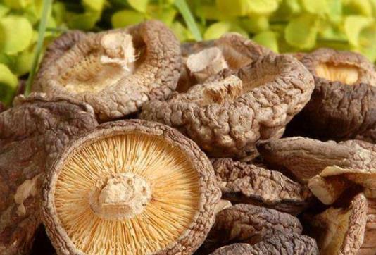 痛風(fēng)患者可以吃冬菇嗎?冬菇是高嘌呤食物嗎?