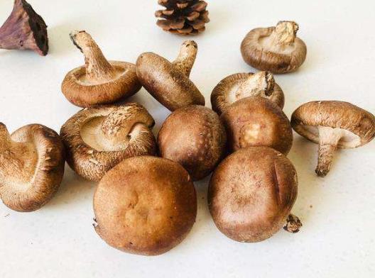 香菇是晾干的還是曬干的?香菇黑了沒(méi)發(fā)霉還能吃嗎