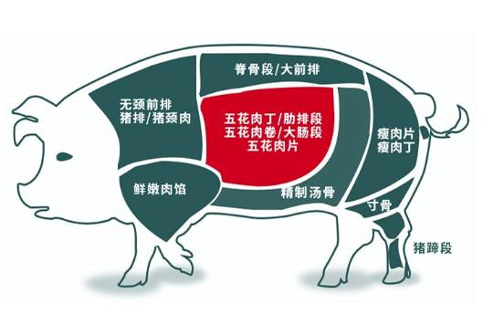 偶爾吃一次五花肉會不會胖?上五花肉和下五花肉在豬身上示意圖片