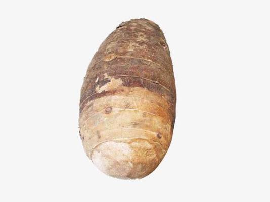 吃芋頭對(duì)胃有傷害嗎?為什么芋頭放了幾天就會(huì)爛