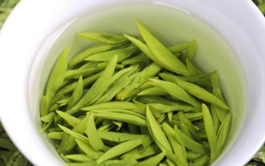 丹參加綠茶沖泡會(huì)不會(huì)引起高血壓 綠茶加丹參泡水飲用有什么功效