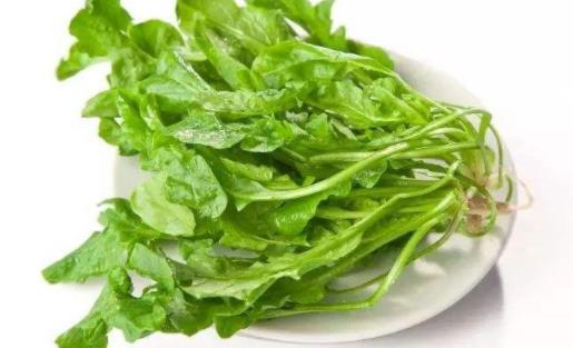 薺菜發(fā)黃了還能吃嗎 薺菜怎么存放時(shí)間長(zhǎng)