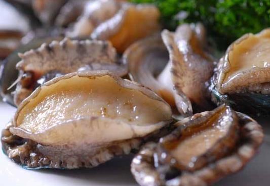 鮑魚如何清洗去內(nèi)臟?鮑魚內(nèi)臟吃了會怎樣