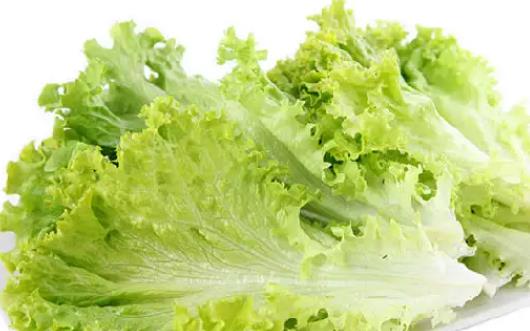 生菜可以減肥嗎?生菜有點苦可以吃嗎?