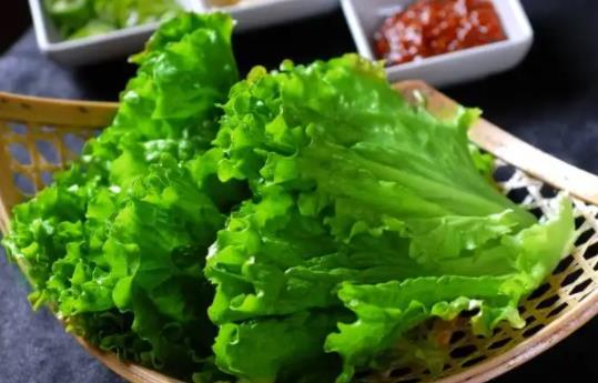 經(jīng)期可以吃生菜嗎?吃生菜需要注意什么?