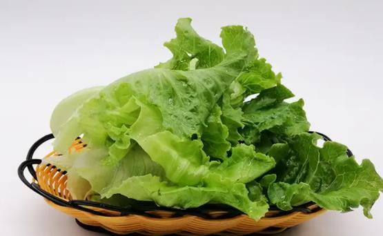 經(jīng)期可以吃生菜嗎?吃生菜需要注意什么?