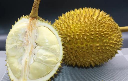榴蓮可不可以和橘子一起吃 吃了榴蓮過多久才能吃橘子