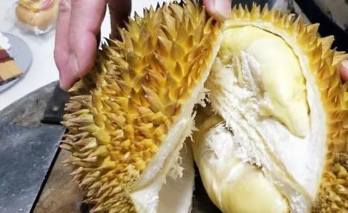 榴蓮可以和牛肉一起吃嗎 吃了榴蓮再吃牛肉會(huì)中毒嗎