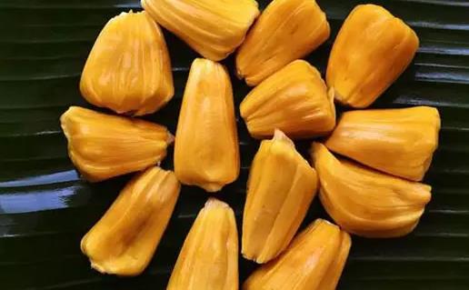 菠蘿蜜不太熟切開會壞嗎 已經打開的菠蘿蜜怎么催熟