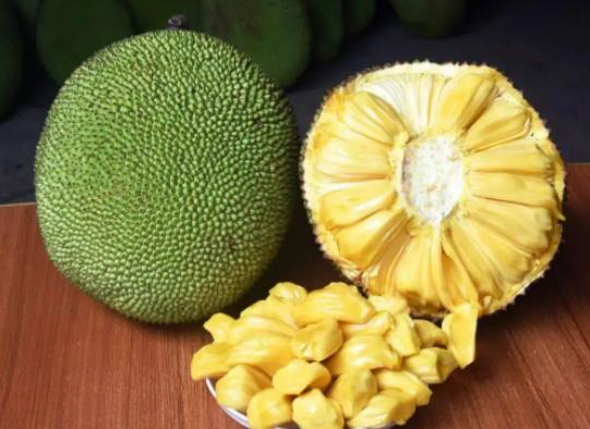 菠蘿蜜沒熟切開了怎么辦?菠蘿蜜為什么要抹白灰