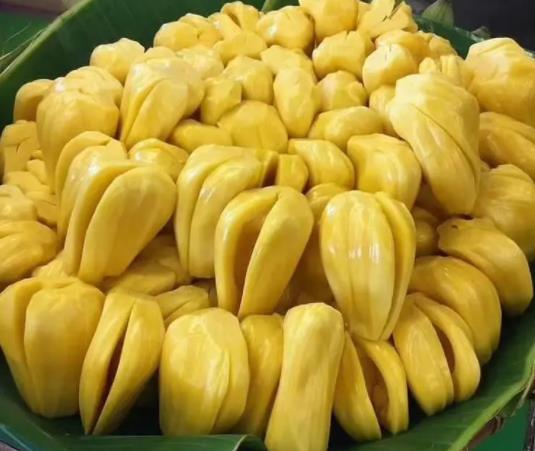 菠蘿蜜沒熟切開了怎么辦?菠蘿蜜為什么要抹白灰
