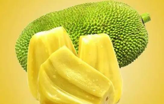 菠蘿蜜弄到刀上怎么洗掉?菠蘿蜜一次可以吃幾顆
