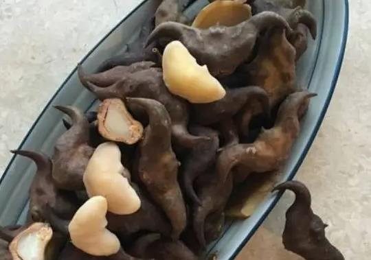 菱角要多久才能煮熟?生吃了菱角怎么補救