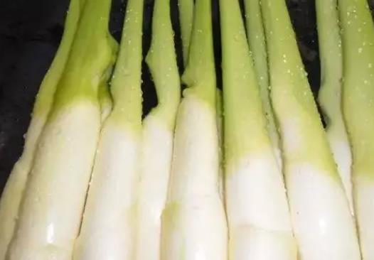 直腸癌手術(shù)后可以吃茭白嗎?茭白有點(diǎn)灰可以吃嗎?
