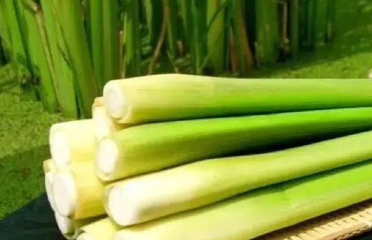 吃茭白會上火嗎?茭白屬于寒性食物嗎?