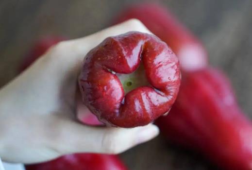 蓮霧里面像棉花是為什么?蓮霧有點(diǎn)澀是沒(méi)熟嗎
