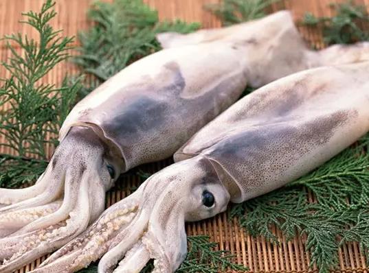 魷魚花刀切哪面才會(huì)卷?魷魚咬不動(dòng)是凍時(shí)間長(zhǎng)了嗎