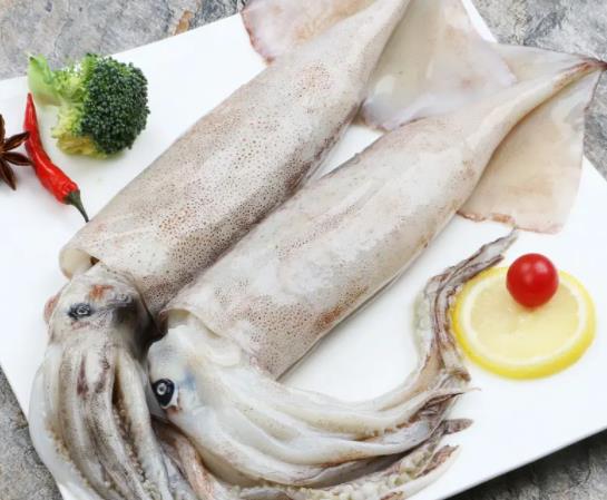 魷魚花刀切哪面才會(huì)卷?魷魚咬不動(dòng)是凍時(shí)間長(zhǎng)了嗎
