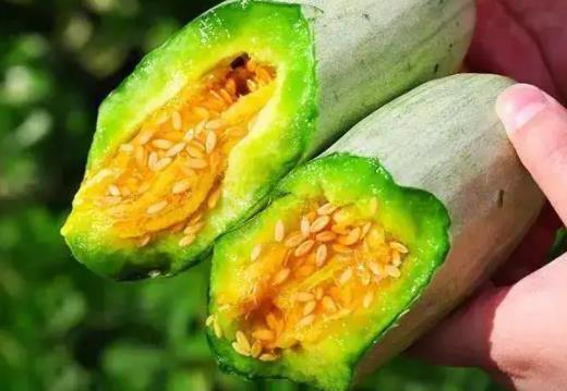 羊角蜜要不要削皮去籽?羊角蜜瓜瓤為什么是苦的