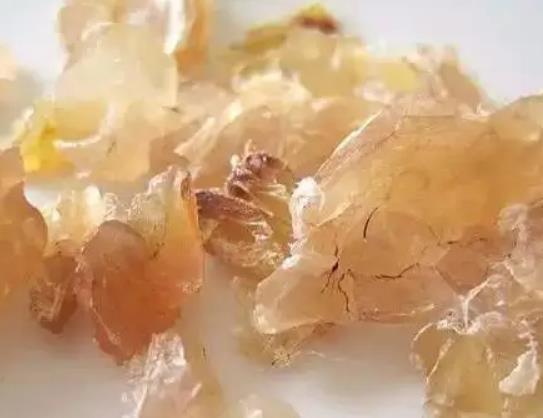 吃了兩次雪蛤月經(jīng)沒了是怎么回事?雪蛤干能吃嗎