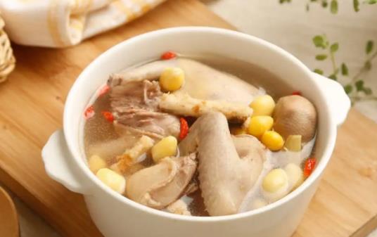 鴿子湯為什么不能放姜?喝鴿子湯為什么不能放蝦?