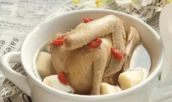 鴿子和老母雞可以一起燉嗎?鴿子和老母雞哪個(gè)更有營(yíng)養(yǎng)價(jià)值?
