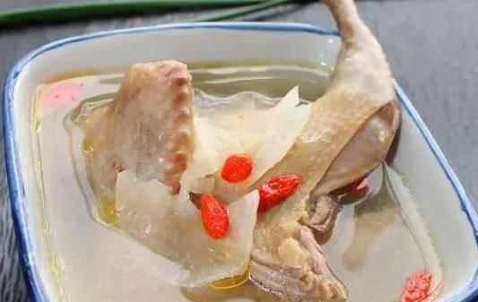 做鴿子湯需要放血嗎?鴿子湯不放血的好處有哪些?