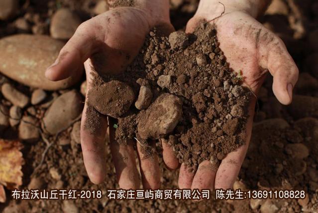 【選紅酒入門(mén)】教你如何選紅酒!布拉沃山丘干紅-2018