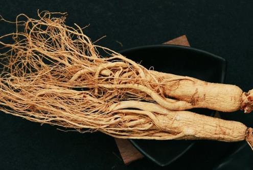 鮮人參能直接生吃嗎一次吃多少 鮮人參怎么吃效果最好(多圖片)