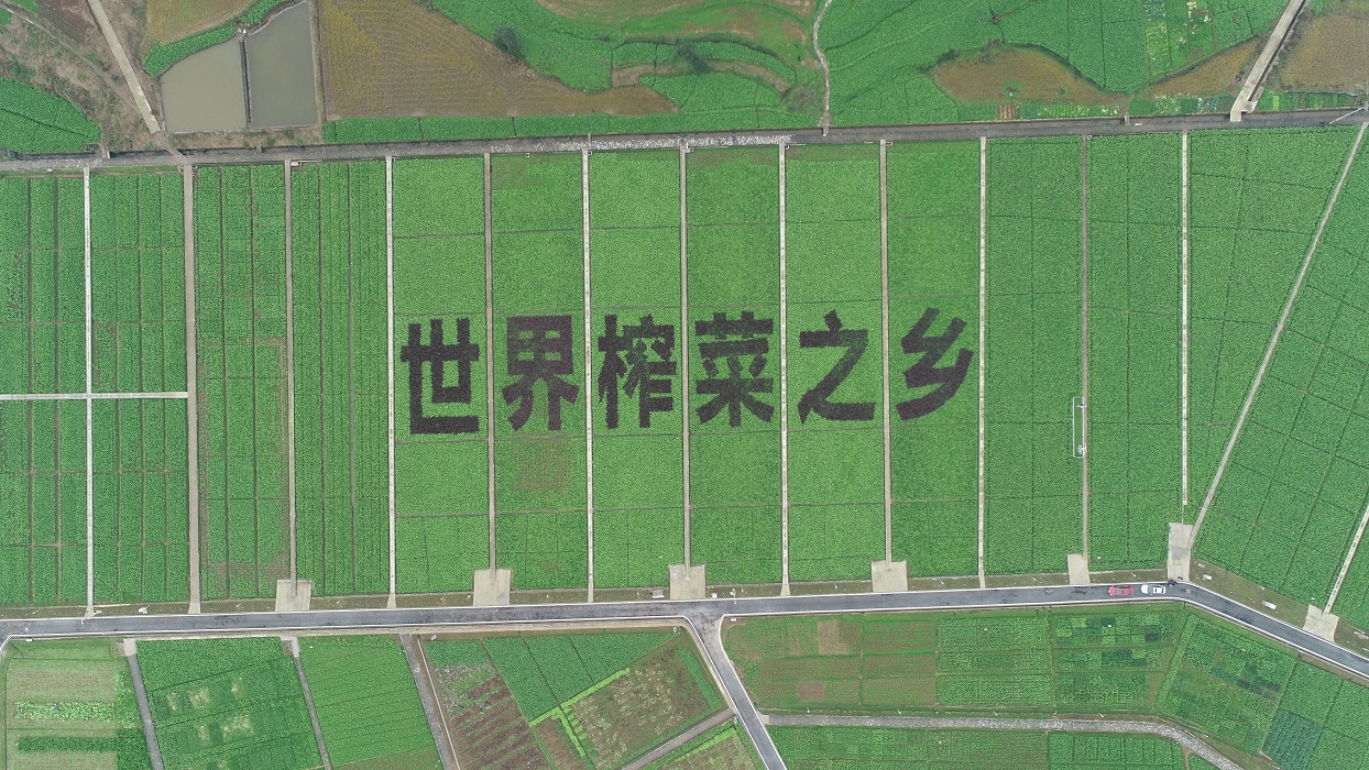 http://www.chouju30.cn/upload_files/article/10/27_hjodo__.jpg