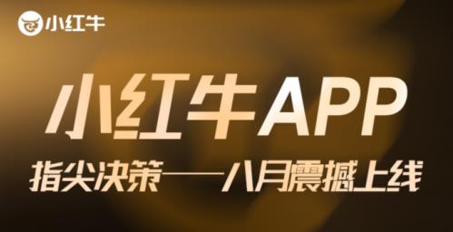 《小紅!稟PP上線引發(fā)市場(chǎng)熱議