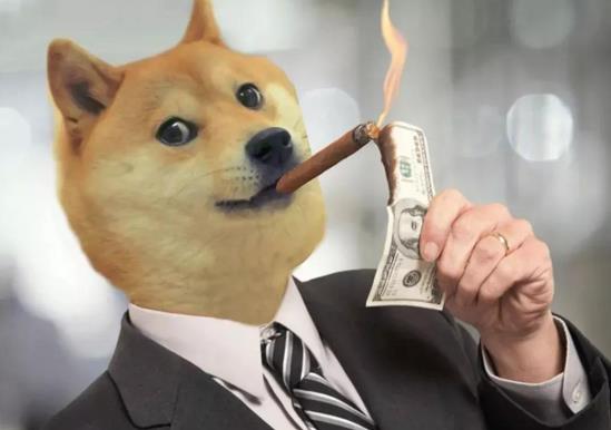 馬斯克為什么看好狗狗幣?買狗狗幣好還是買基金好?