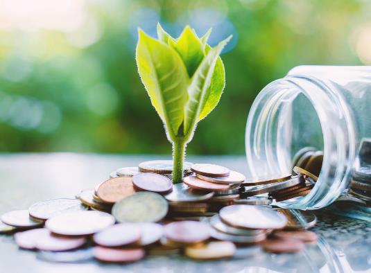 基金凈值高買還是低買?基金確權(quán)有時間限制嗎