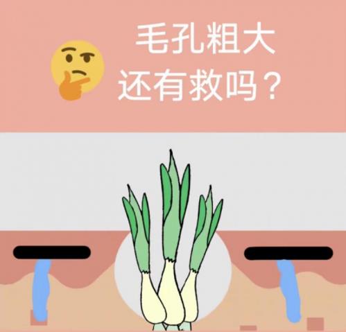 賽諾秀Icon:是毛孔克星,也是您的美麗后盾!