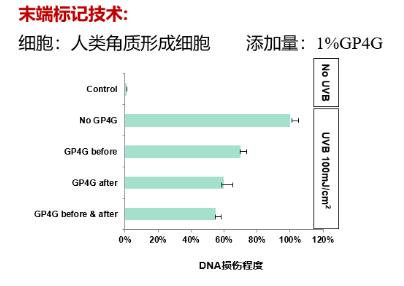 GP4G鹵蟲提取物能修復(fù)DNA損傷嗎?