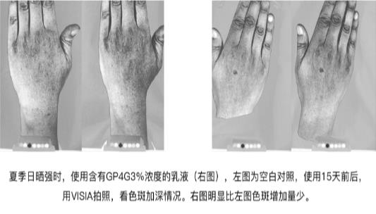 GP4G鹵蟲提取物能修復(fù)DNA損傷嗎?
