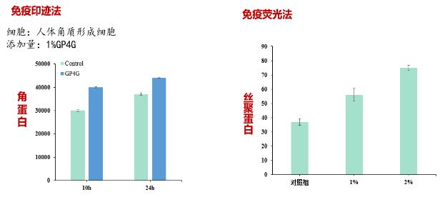 GP4G鹵蟲提取物能修復(fù)DNA損傷嗎?