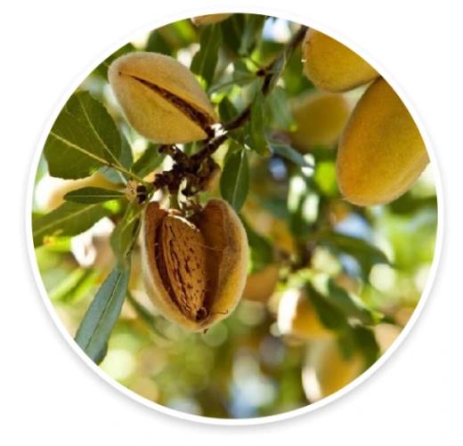 輕松迎接初夏,花間堂護膚精油使用小Tips