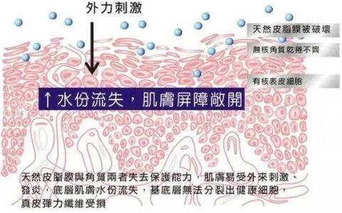 德國MBK“小綠瓶”|加快修復敏感肌