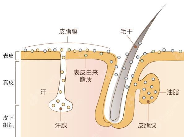 廣州伊站做皮膚護(hù)理效果好嗎?