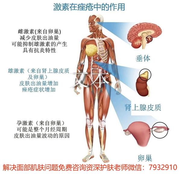 學(xué)生祛痘無需天價(jià),只需朵嘉濃祛痘凝膠即可
