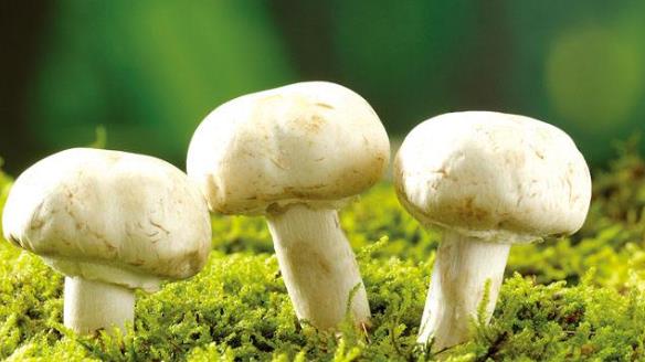 想要青春不顯老就得每天吃的好 3個食物愛美女士需要謹記