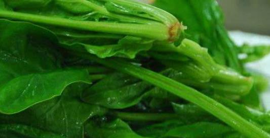 美麗的瓜子臉也可以通過食物來呈現(xiàn) 快速瘦臉養(yǎng)膚的5種食物