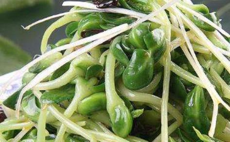 美麗的瓜子臉也可以通過食物來呈現(xiàn) 快速瘦臉養(yǎng)膚的5種食物